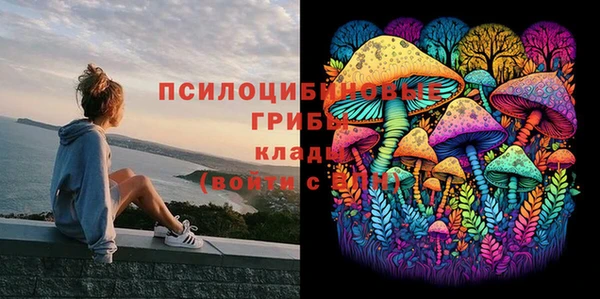 mdpv Волоколамск