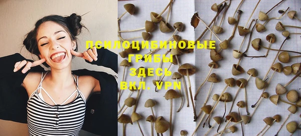 mdpv Волоколамск
